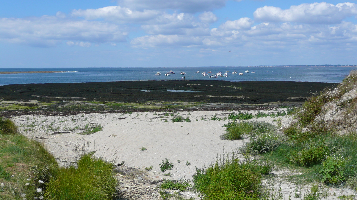 รูปถ่าย ฝรั่งเศส(France) เพรฟาย(Prefailles) จากแหลมแซ็ง-ฌีลดาไปลาเปร(La pointe Saint Gildas to La Pree) 2007-08 10