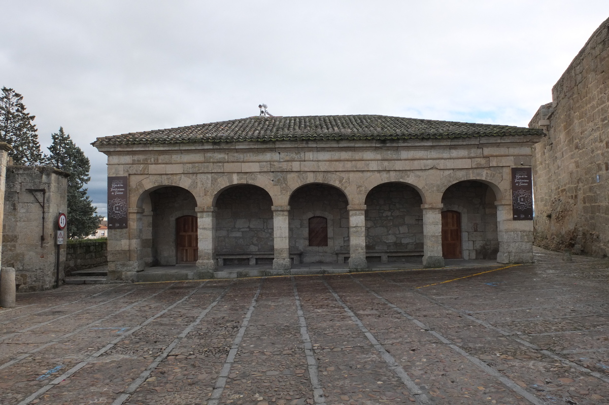 รูปถ่าย สเปน(Spain) ซิวดัดโรดรีโก(Ciudad Rodrigo) 2013-01 53