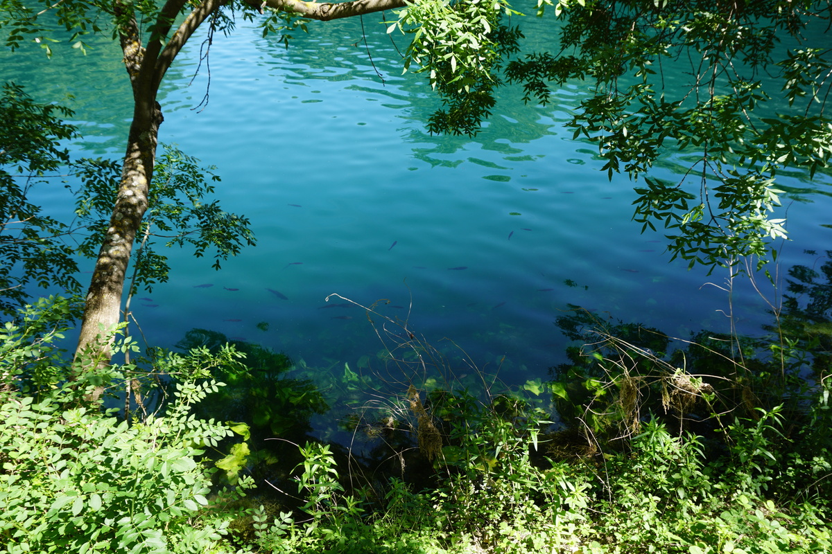 รูปถ่าย โครเอเชีย(Croatia) อุทยานแห่งชาติเคอร์คา(Krka National Park) 2016-04 10