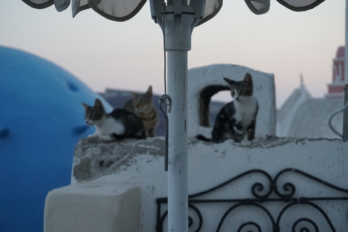 รูปถ่าย กรีก(Greece) ซานโตรินี(Santorini) บ้านถ้ำโอยา(Oia cave house) 2016-07 22