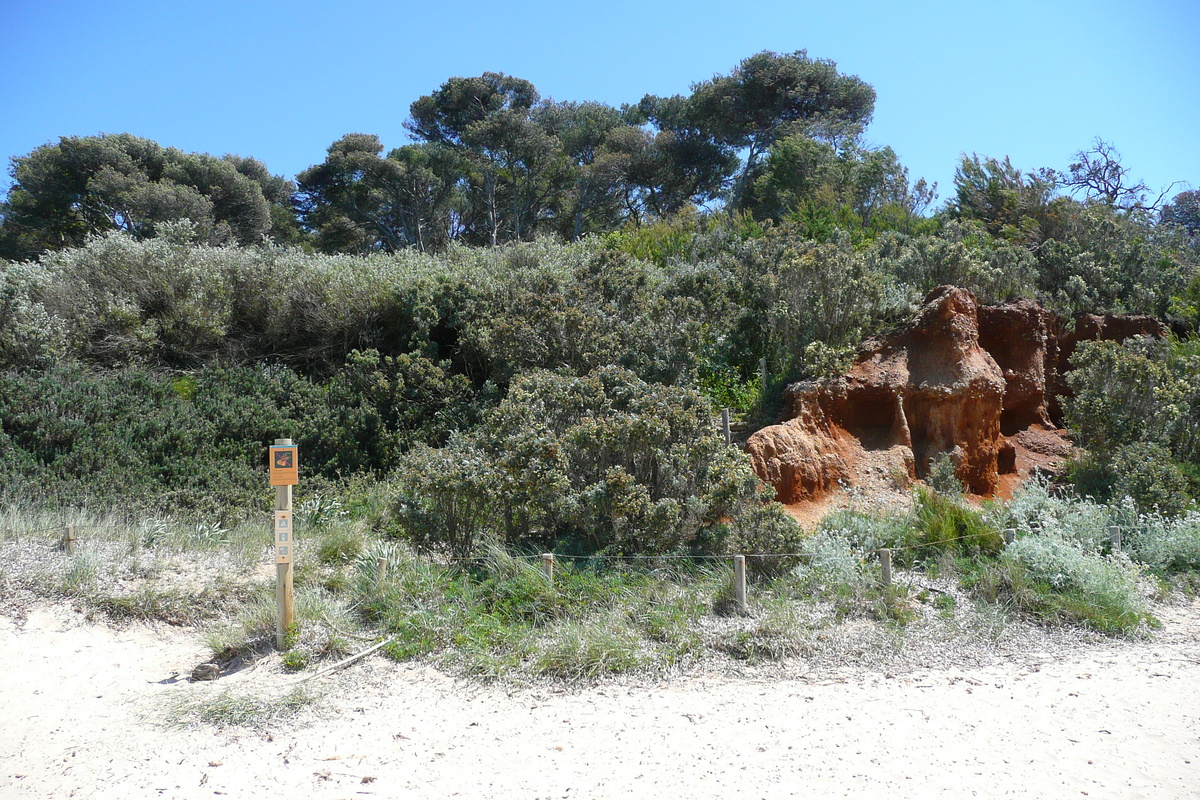 รูปถ่าย ฝรั่งเศส(France) เกาะปอร์เกอรอล(Porquerolles Island) หาดกูร์ตาด(Courtade beach) 2008-05 47