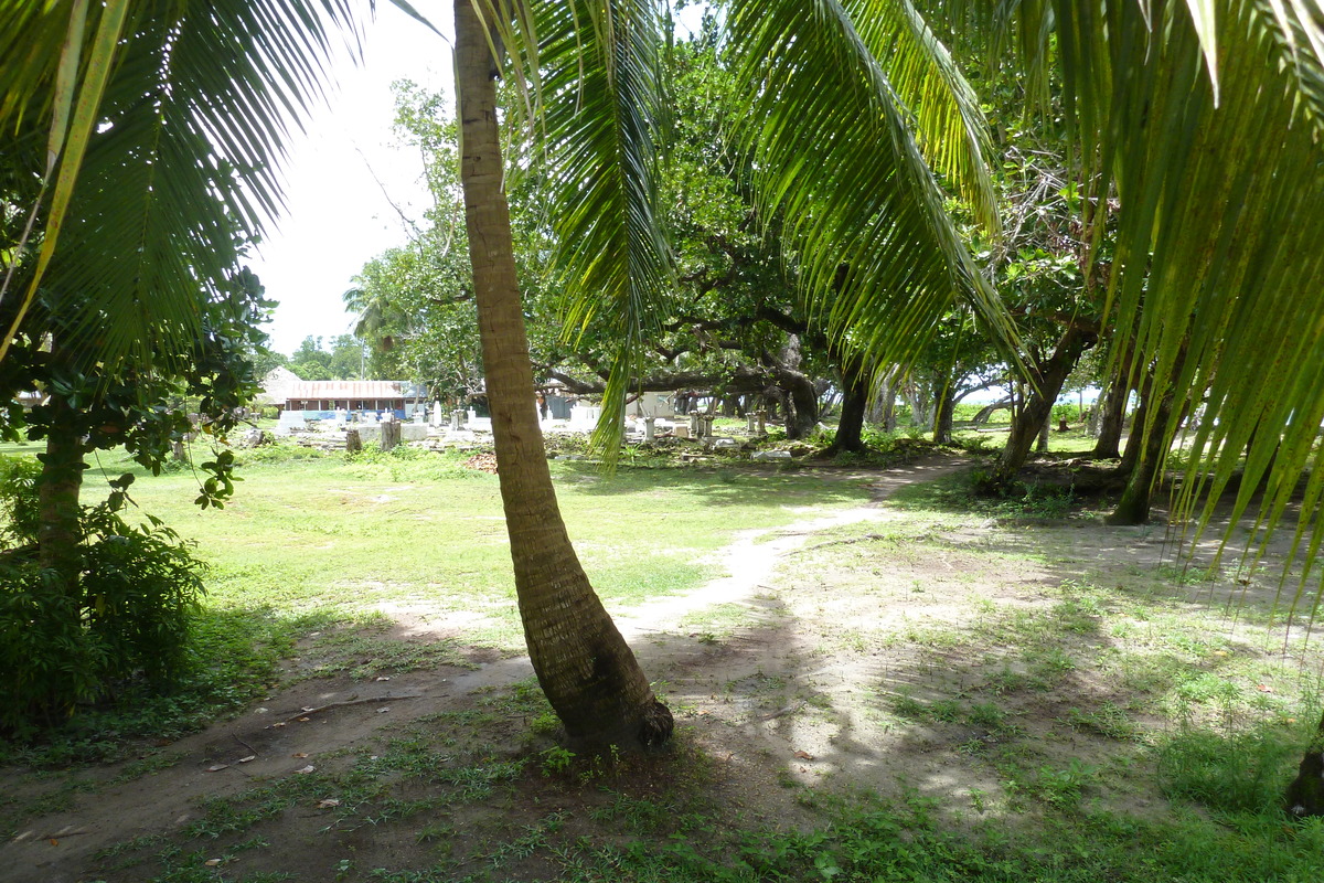 รูปถ่าย เซเชลส์(Seychelles) เกาะลาดีก(La Digue) 2011-10 101