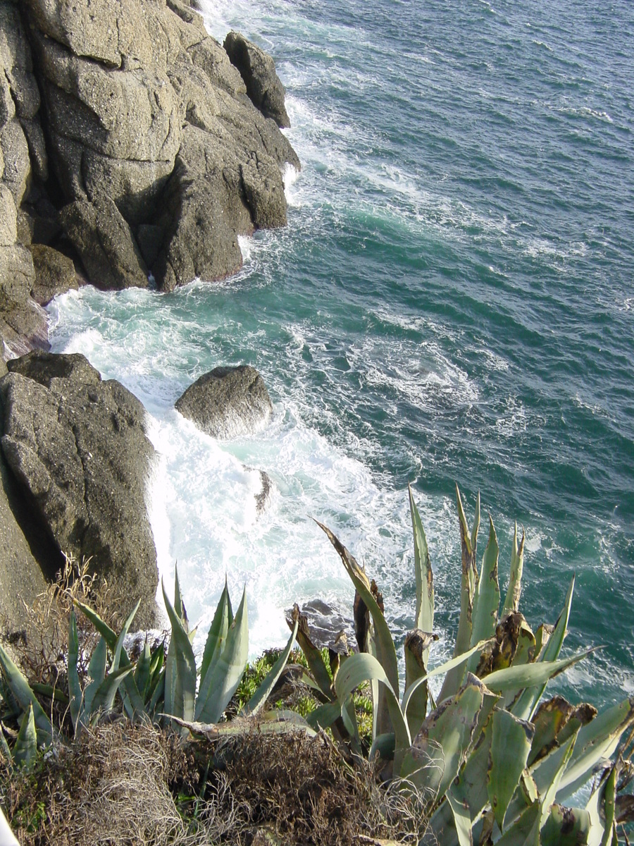 รูปถ่าย อิตาลี(Italy) ปอร์โตฟิโน่(Portofino) 2000-12 6