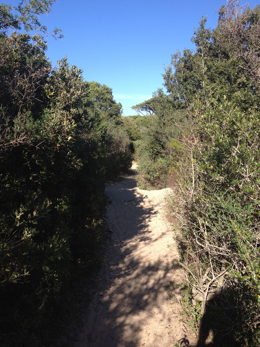 รูปถ่าย ฝรั่งเศส(France) คอร์สิคา(Corsica) ปาลอมบัจจา(Palombaggia) 2012-09 53