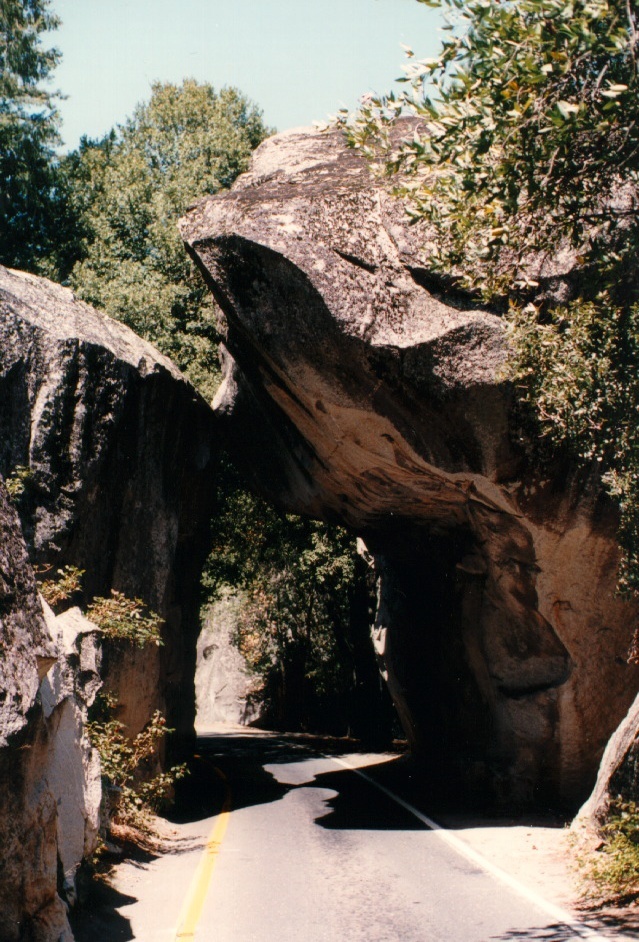 รูปถ่าย สหรัฐอเมริกา(United States) อุทยานแห่งชาติโยเซมิที(Yosemite National Park) 1992-08 35