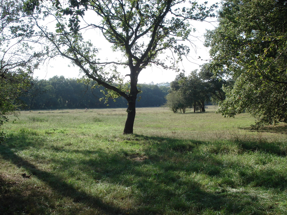 รูปถ่าย ฝรั่งเศส(France) วีลเนิฟ-ลูแบ(Villeneuve Loubet) สวนโวเกรอนีเย(Parc de Vaugrenier) 2006-09 2