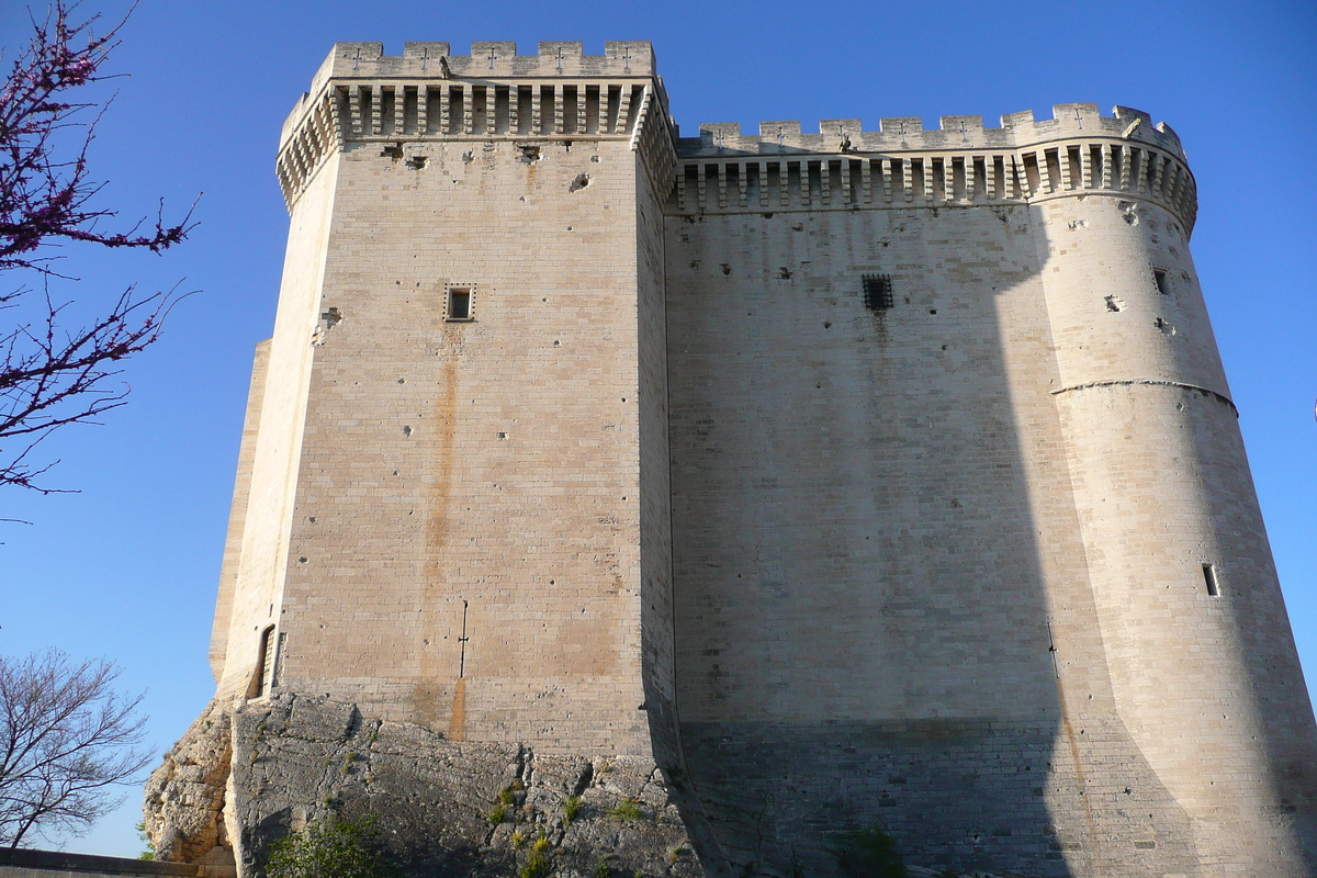 รูปถ่าย ฝรั่งเศส(France) ตาราสกง(Tarascon) ปราสาทตาราสกง(Tarascon Castle) 2008-04 140