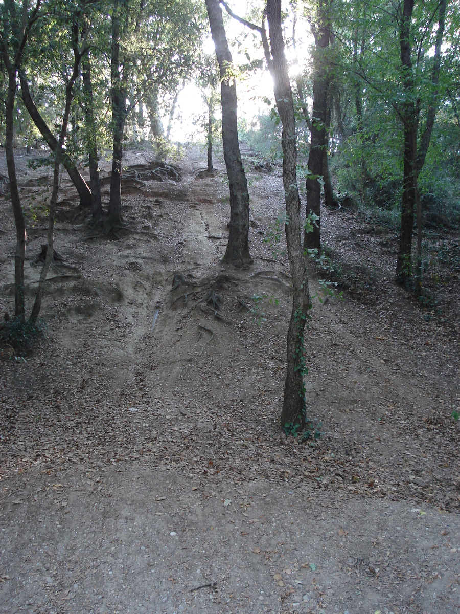 รูปถ่าย ฝรั่งเศส(France) วีลเนิฟ-ลูแบ(Villeneuve Loubet) สวนโวเกรอนีเย(Parc de Vaugrenier) 2006-09 14
