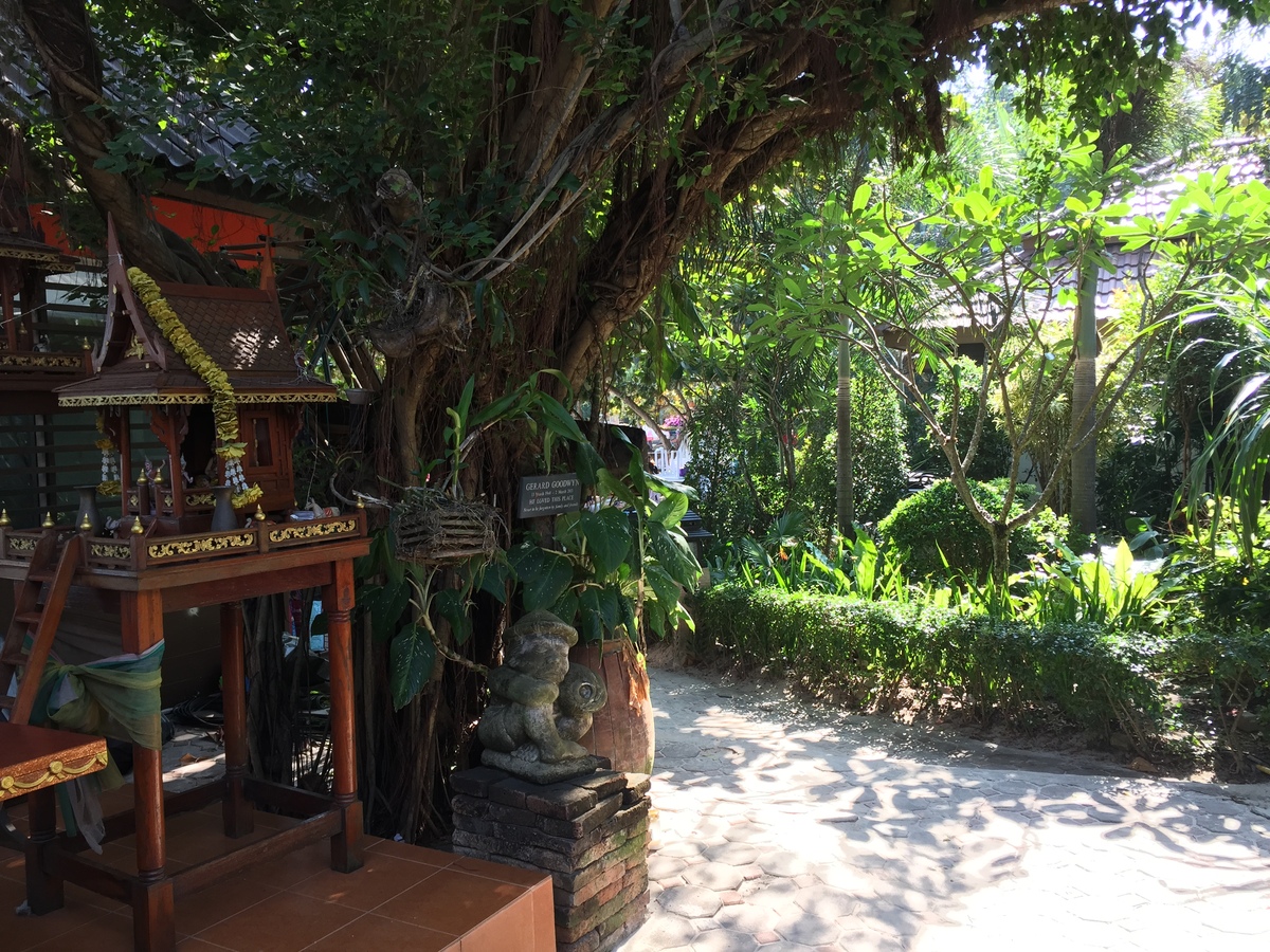 รูปถ่าย ไทย(Thailand) เกาะเสม็ด(Ko Samet) 2014-12 254