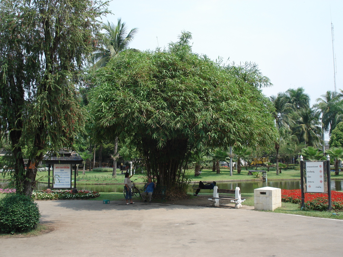 รูปถ่าย ไทย(Thailand) เชียงใหม่(Chiang Mai) ข้างในคุเมืองเชียงใหม่(Inside Canal) สวนบวกหาด(Buak Had Park) 2006-04 2