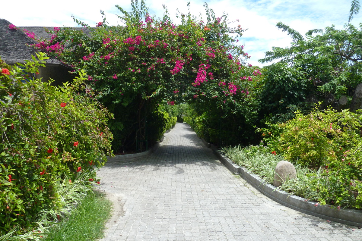 รูปถ่าย เซเชลส์(Seychelles) เกาะลาดีก(La Digue) 2011-10 144