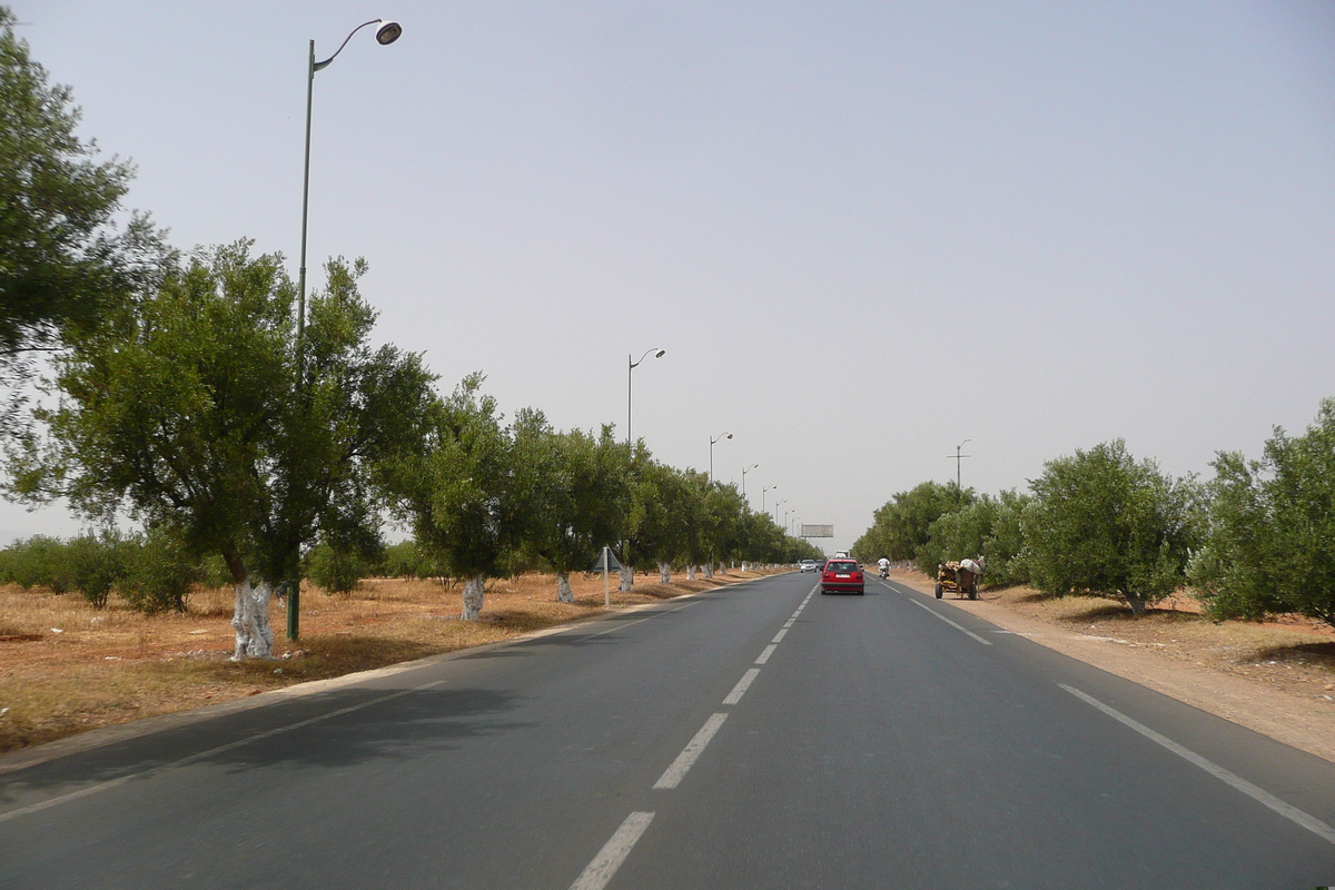รูปถ่าย โมร็อกโก(Morocco) ถนนจากเฟสไปราบัต(Fes to Rabat Road) 2008-07 38