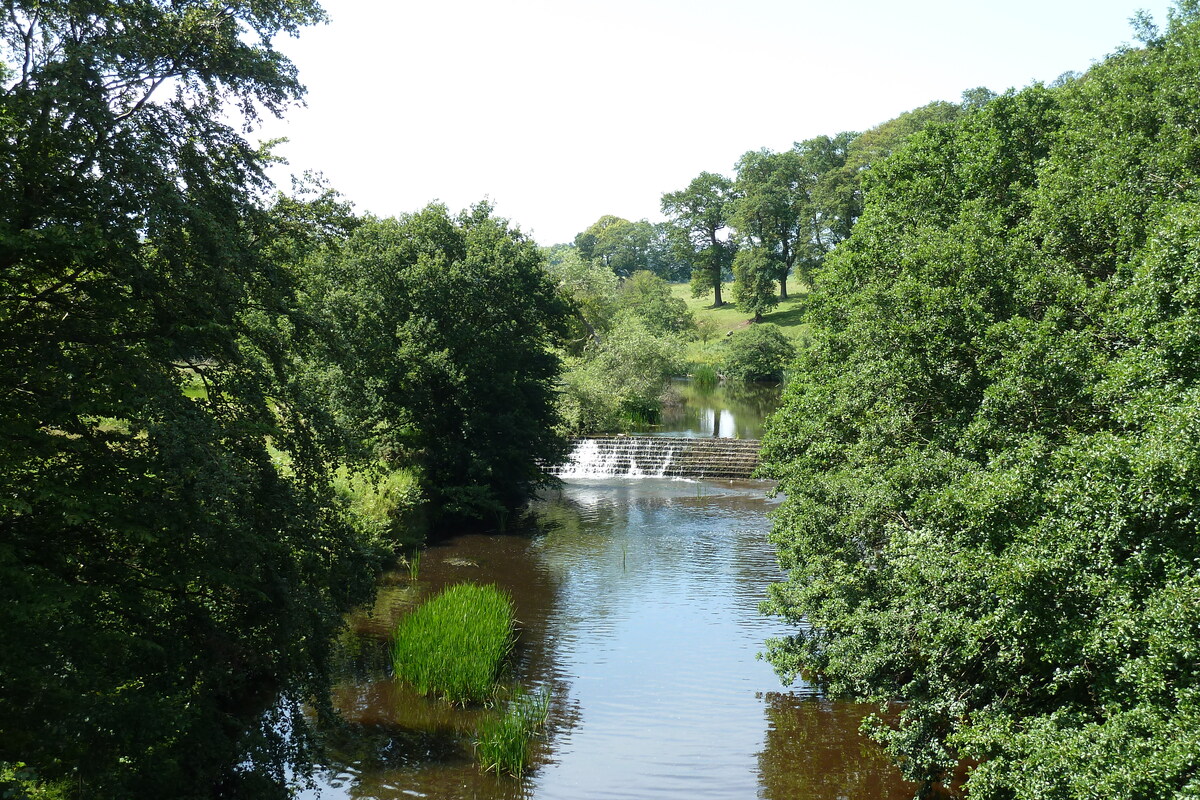 รูปถ่าย อังกฤษ(United Kingdom) สกอตแลนด์(Scotland) แอนนิก(Alnwick) 2011-07 26