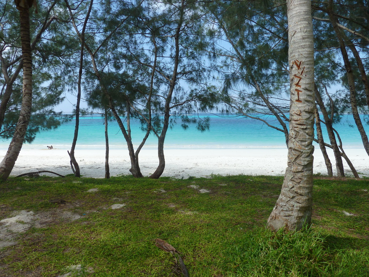 รูปถ่าย นิวแคลิโดเนีย(New Caledonia) เกาะลีฟู(Lifou) อ่าวชาโตบรีย็อง(Chateaubriand Bay) 2010-05 93