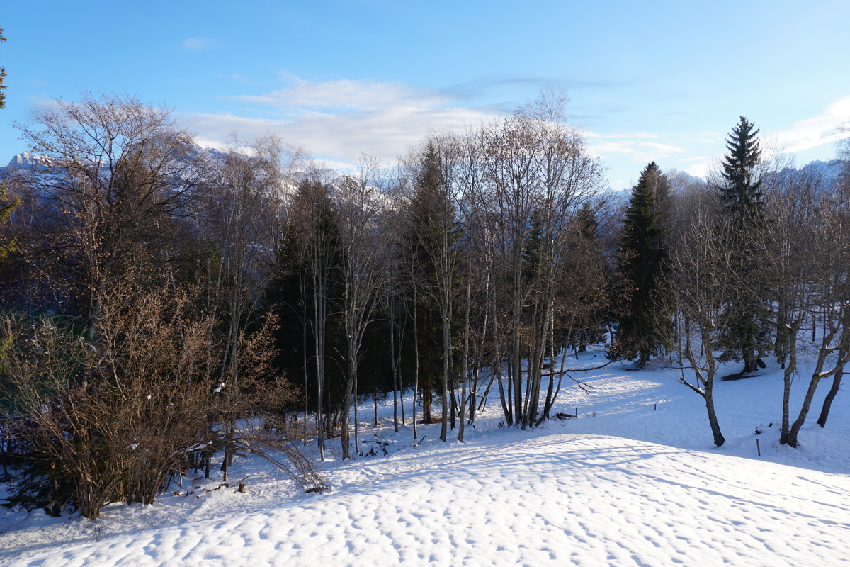 รูปถ่าย ฝรั่งเศส(France) เมแฌฟว์(Megeve) 2017-02 43