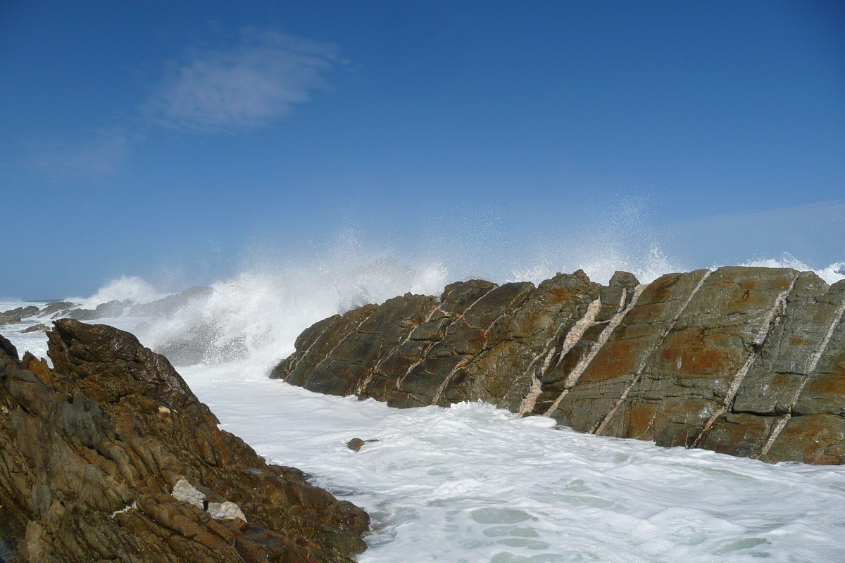 รูปถ่าย แอฟริกาใต้(South Africa) อุทยานแห่งชาติซิตซิคัมมา(Tsitsikamma National Park) 2008-09 368