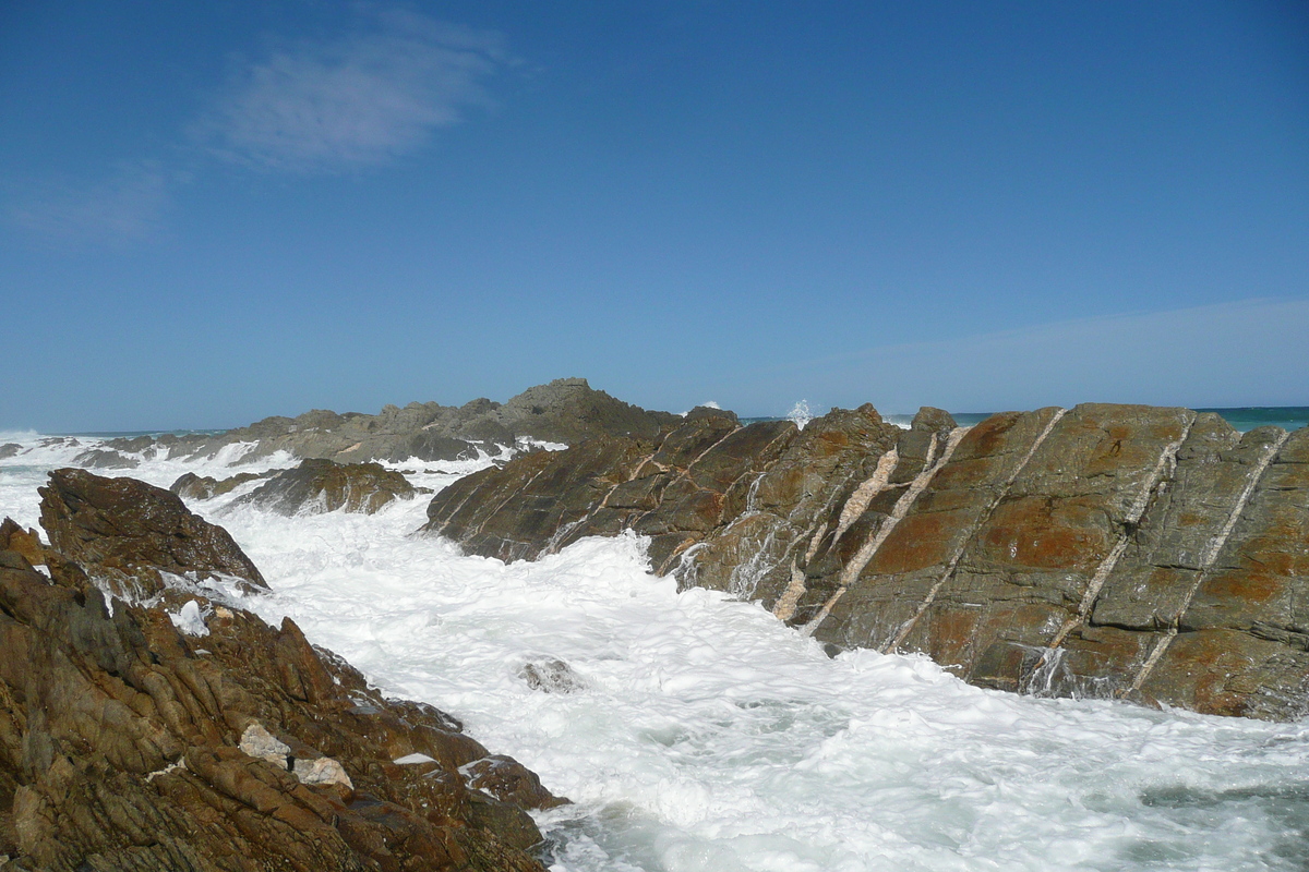 รูปถ่าย แอฟริกาใต้(South Africa) อุทยานแห่งชาติซิตซิคัมมา(Tsitsikamma National Park) 2008-09 413