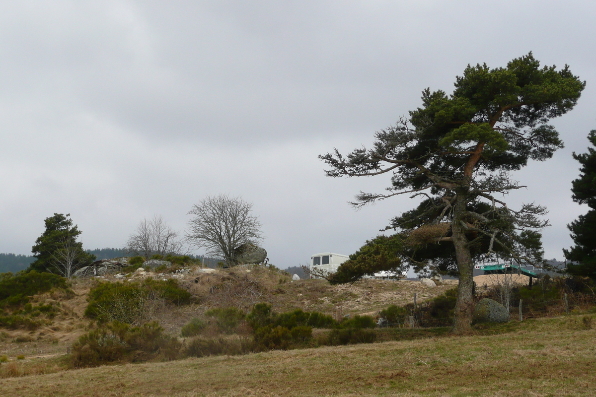 รูปถ่าย ฝรั่งเศส(France) โอบรัก(L'Aubrac) 2008-04 47