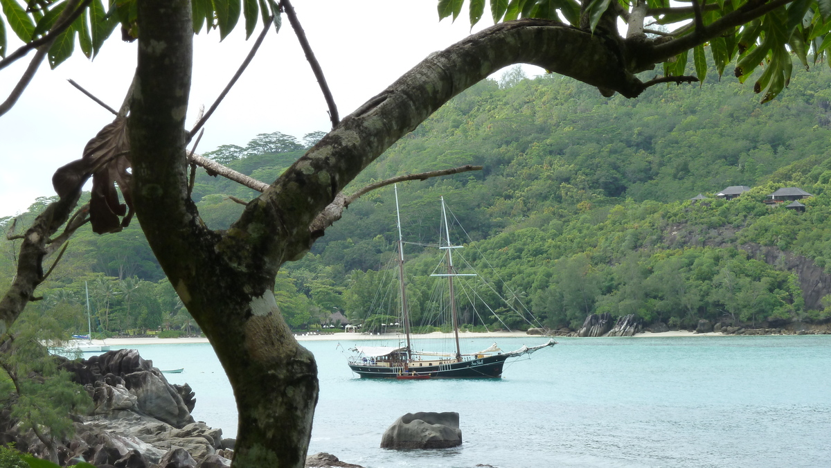 รูปถ่าย เซเชลส์(Seychelles) เกาะมาเฮ(Mahe) 2011-10 203