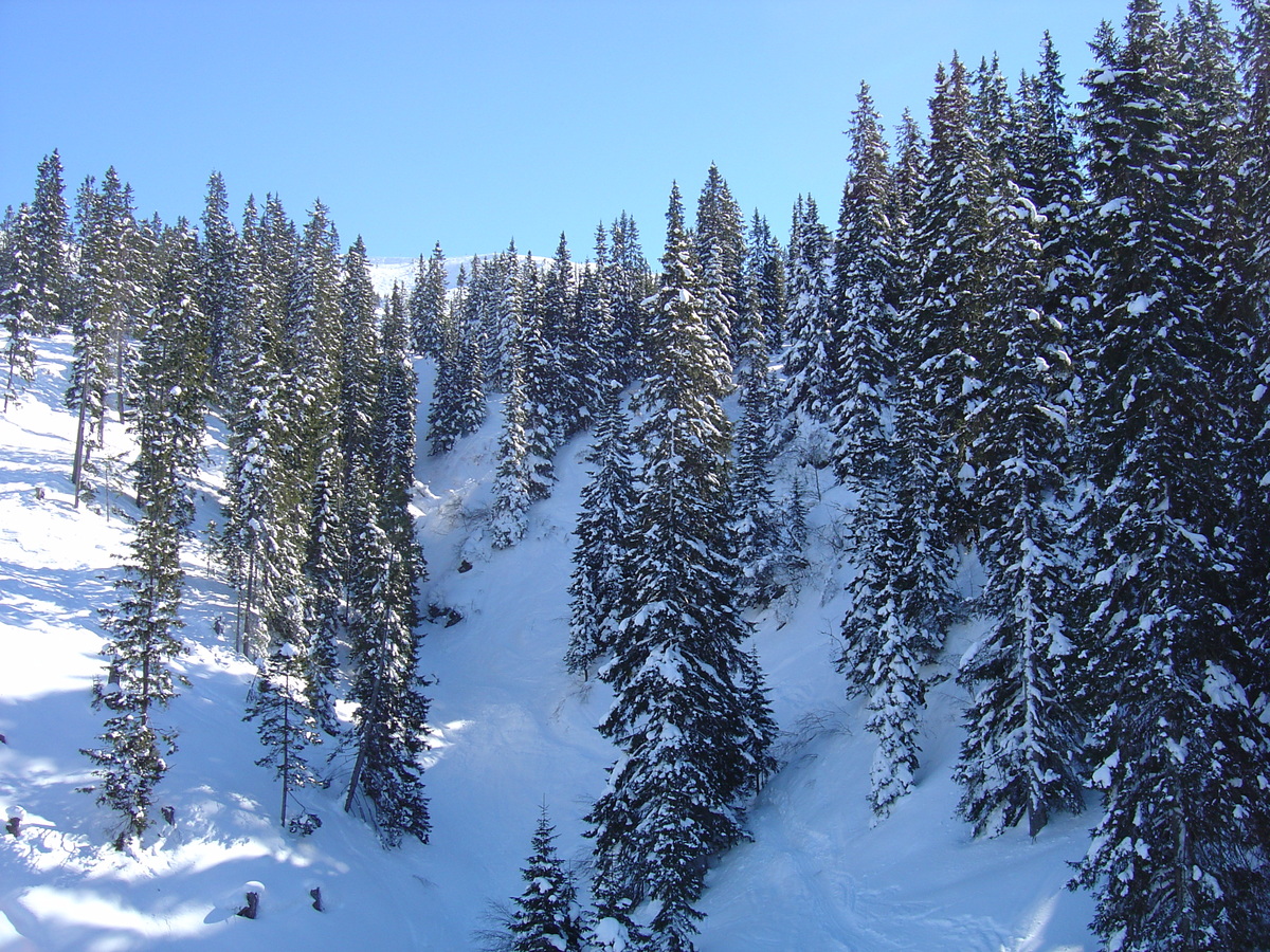 รูปถ่าย ออสเตรีย(Austria) คิทซ์บูเฮล(Kitzbuhel) สกี(Ski) 2005-03 5