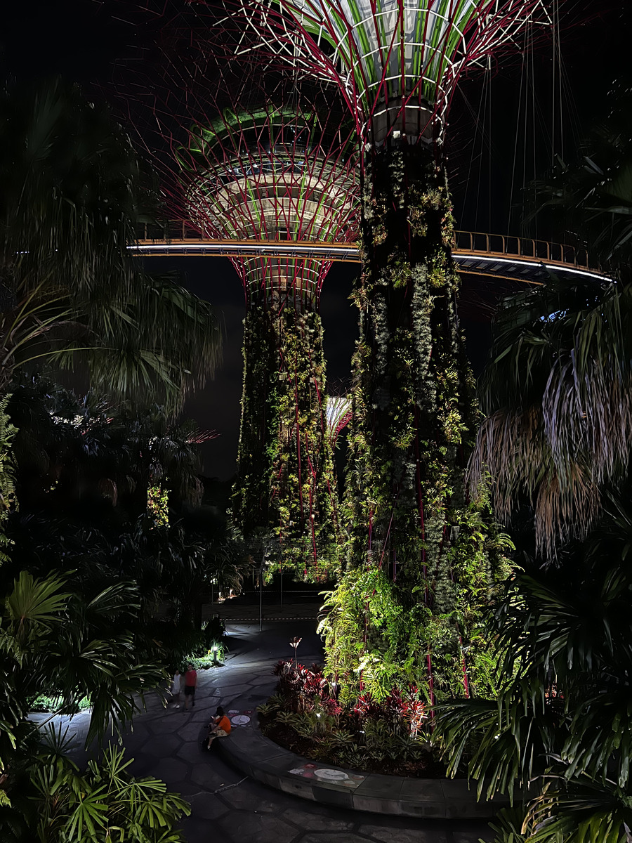รูปถ่าย สิงคโปร์(Singapore) การ์เดนส์บายเดอะเบย์(Garden by the bay) 2023-01 33
