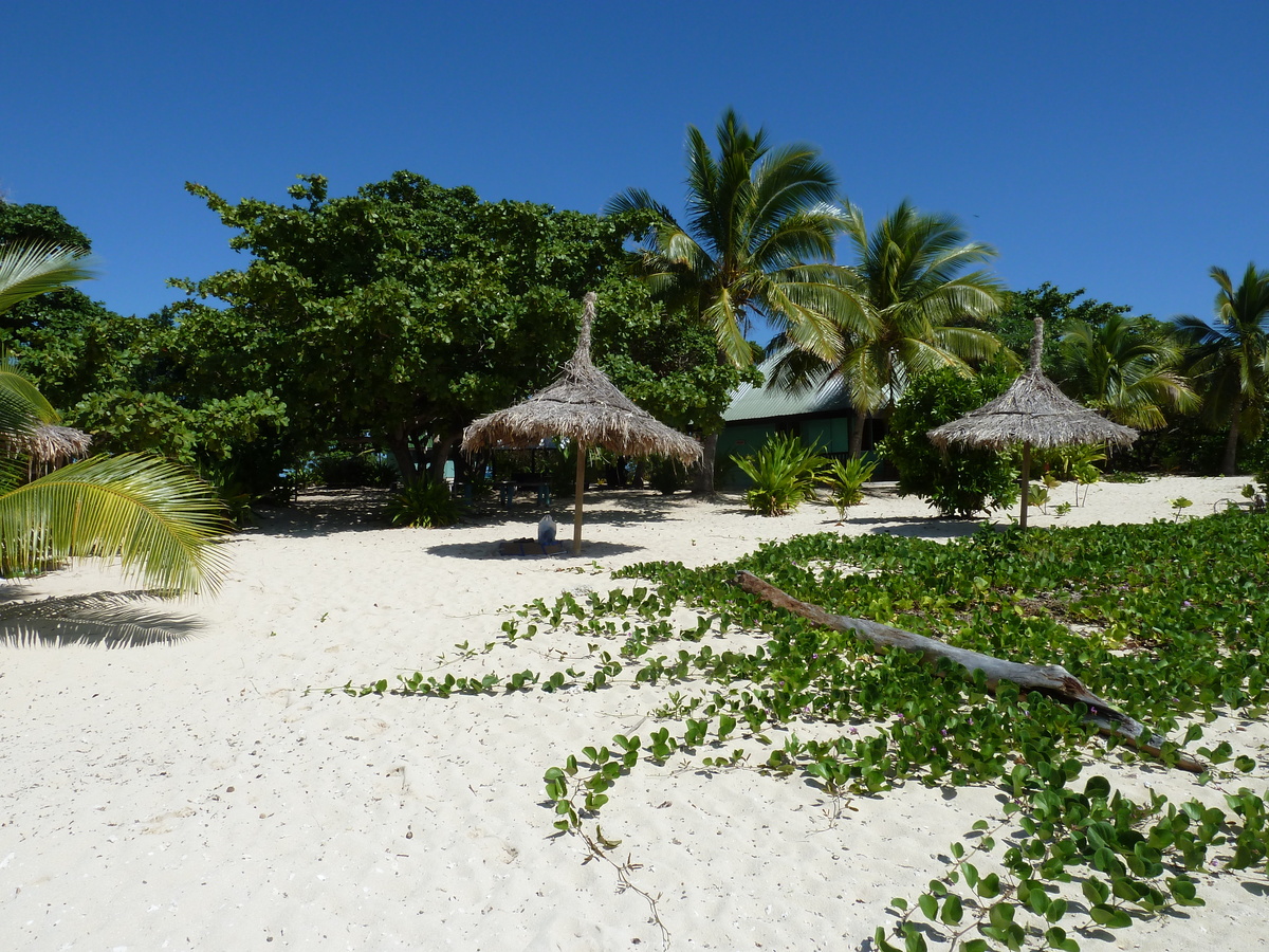 รูปถ่าย ฟิจิ(Fiji) 2010-05 102