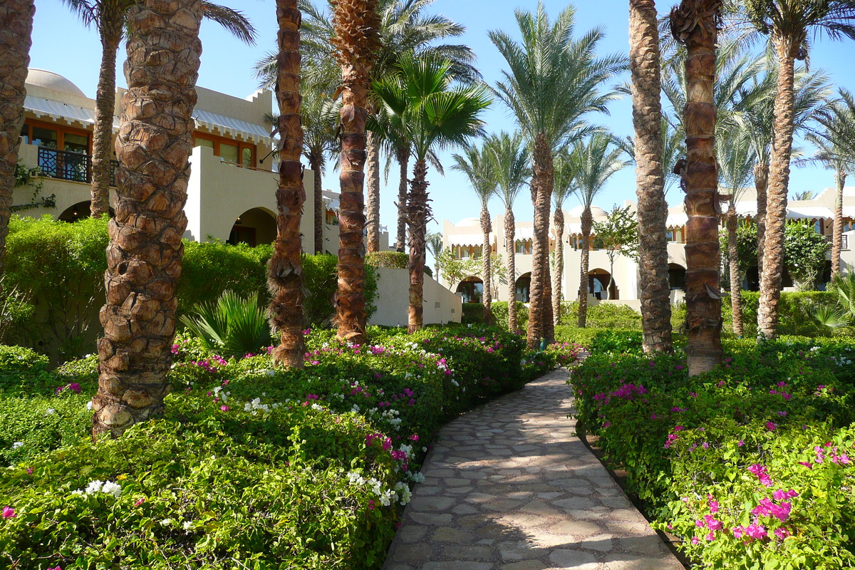 รูปถ่าย อียิปต์(Egypt) ชาร์มเอลชีค(Sharm el Sheikh) โรงแรมโฟร์ซีซันส์(Four Seasons Hotel) 2008-06 85