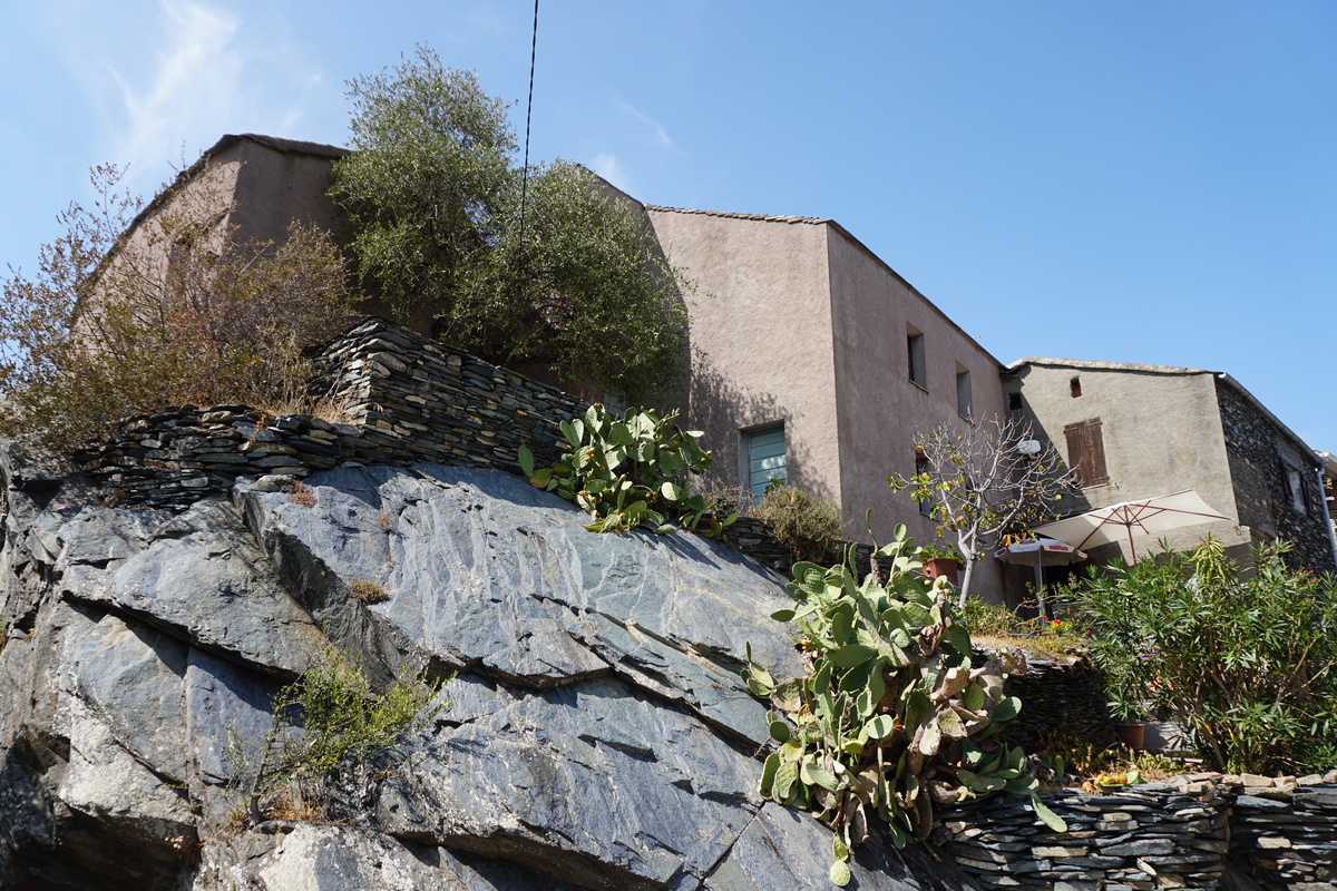 รูปถ่าย ฝรั่งเศส(France) คอร์สิคา(Corsica) เปนตา-ดี-กาซิงกา(Penta-di-Casinca) 2017-09 62