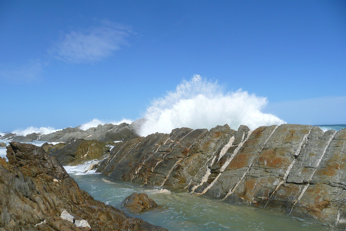 รูปถ่าย แอฟริกาใต้(South Africa) อุทยานแห่งชาติซิตซิคัมมา(Tsitsikamma National Park) 2008-09 113