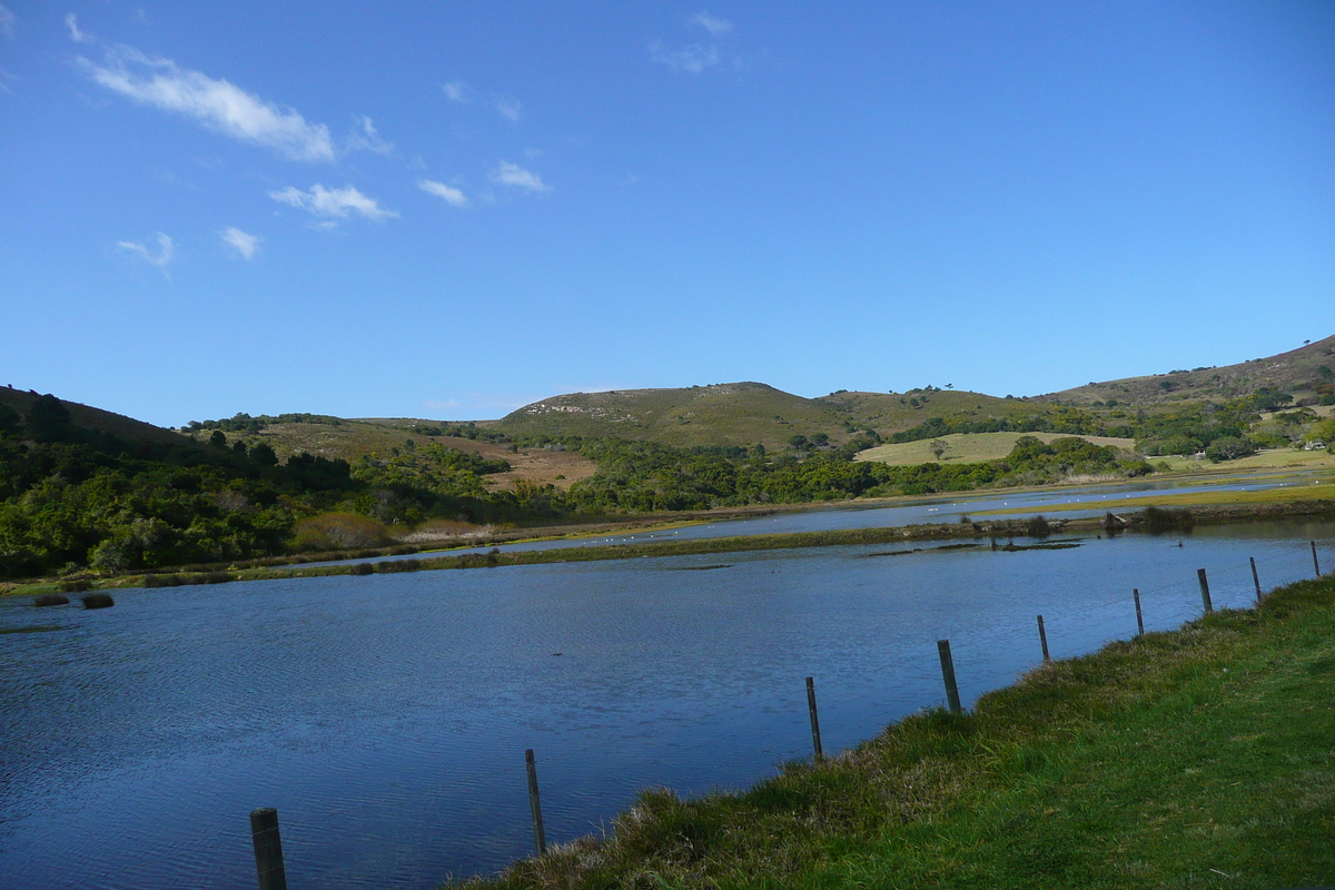 รูปถ่าย แอฟริกาใต้(South Africa) ไนส์นา(Knysna) 2008-09 108