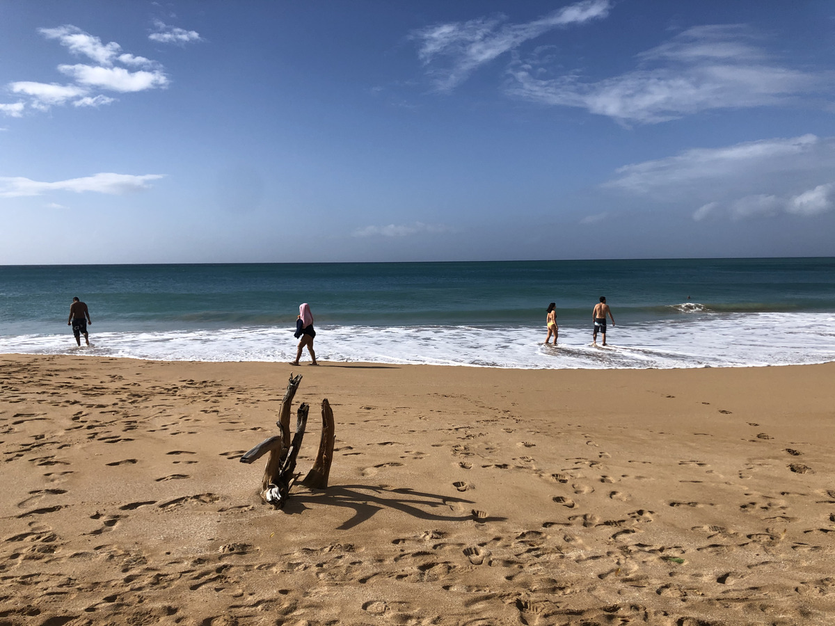 รูปถ่าย กวาเดอลูป(Guadeloupe) หาดลาแปร์ล(La Perle Beach) 2021-02 51
