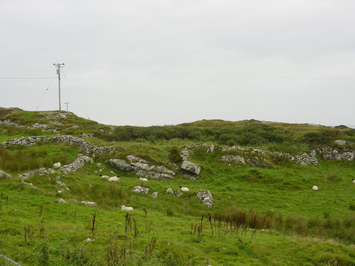 รูปถ่าย ไอร์แลนด์(Ireland) คอนเนอมารา(Connemara) 2003-09 66
