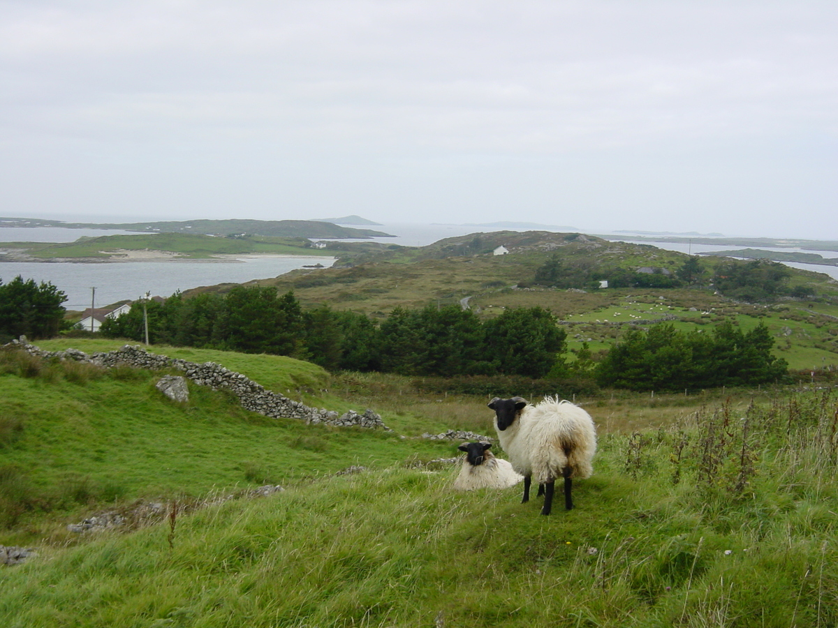 รูปถ่าย ไอร์แลนด์(Ireland) คอนเนอมารา(Connemara) 2003-09 36