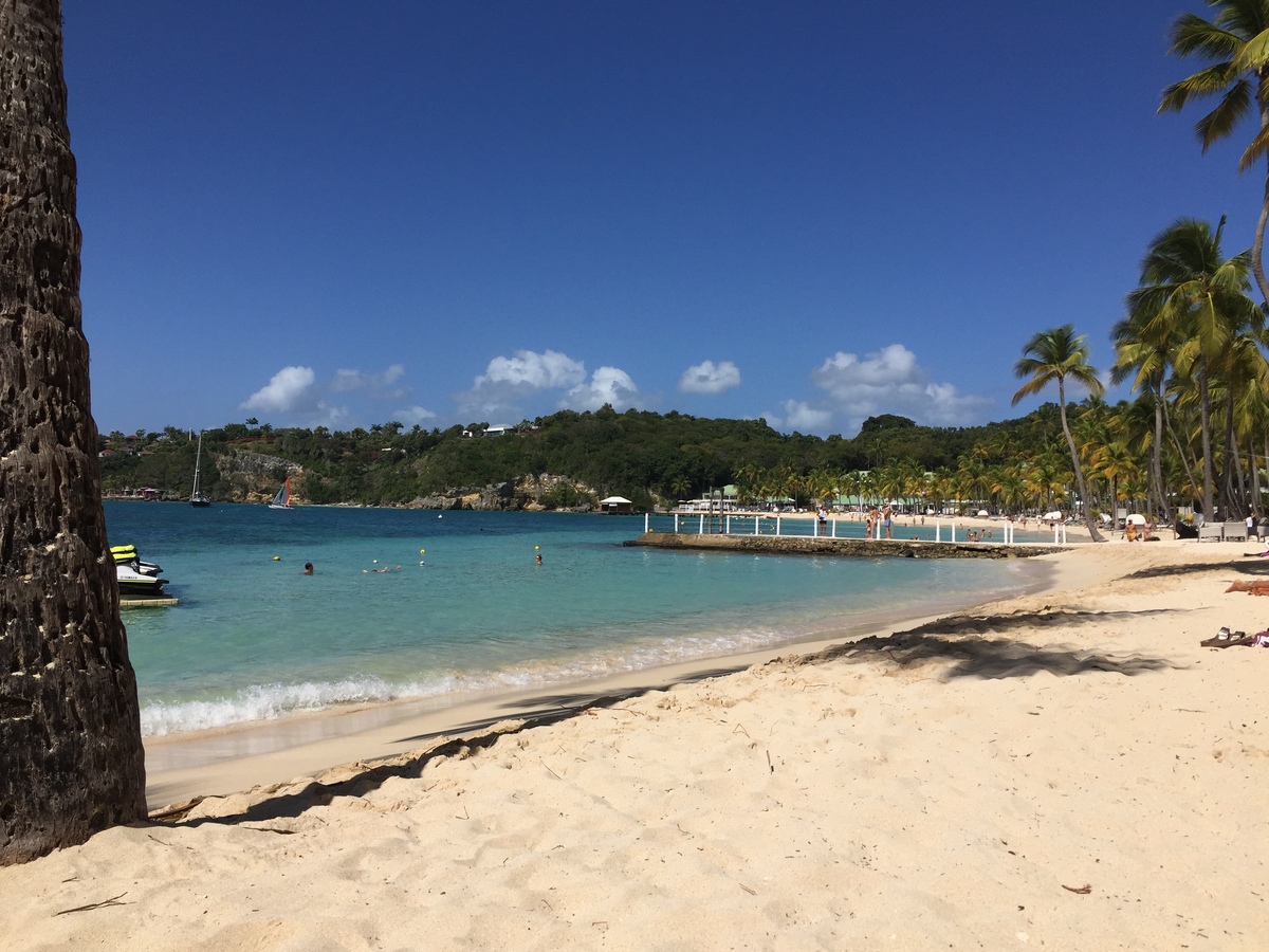 รูปถ่าย กวาเดอลูป(Guadeloupe) หาดลาการาแวล(La Caravelle Beach) 2021-02 54