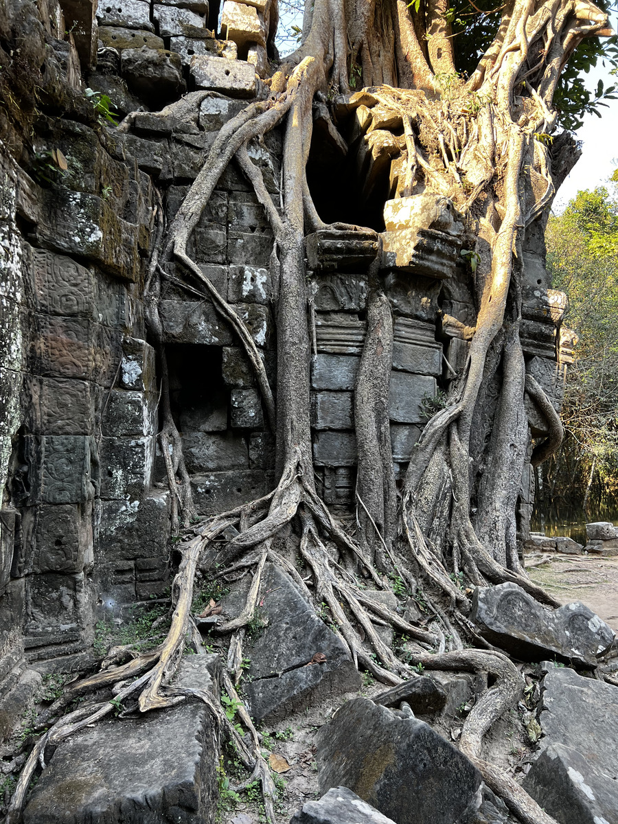 รูปถ่าย กัมพูชา(Cambodia) เสียมราฐ(Siem Reap) ปราสาทตาสม(Ta Som) 2023-01 49