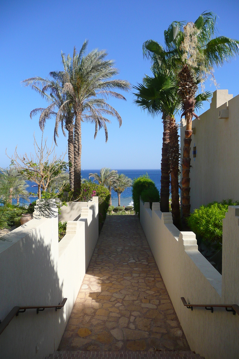 รูปถ่าย อียิปต์(Egypt) ชาร์มเอลชีค(Sharm el Sheikh) โรงแรมโฟร์ซีซันส์(Four Seasons Hotel) 2008-06 90