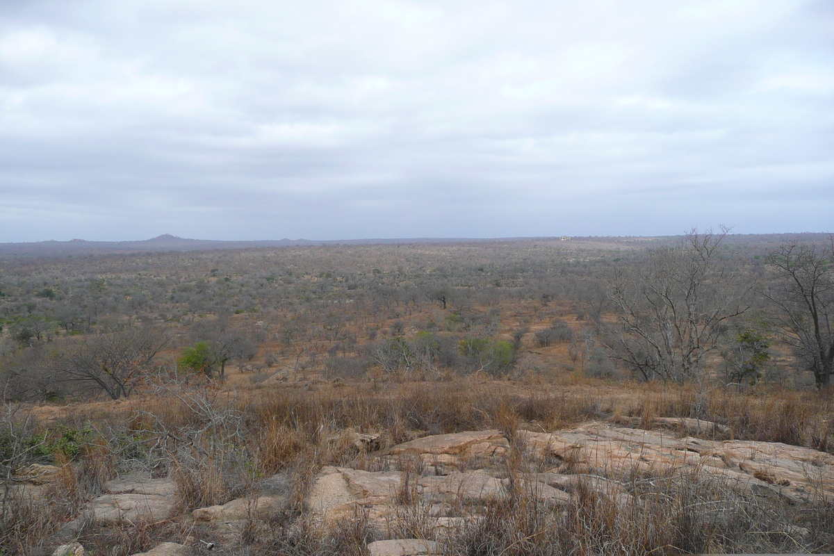 รูปถ่าย แอฟริกาใต้(South Africa) อุทยานแห่งชาติครูเกอร์(Kruger National Park) 2008-09 178