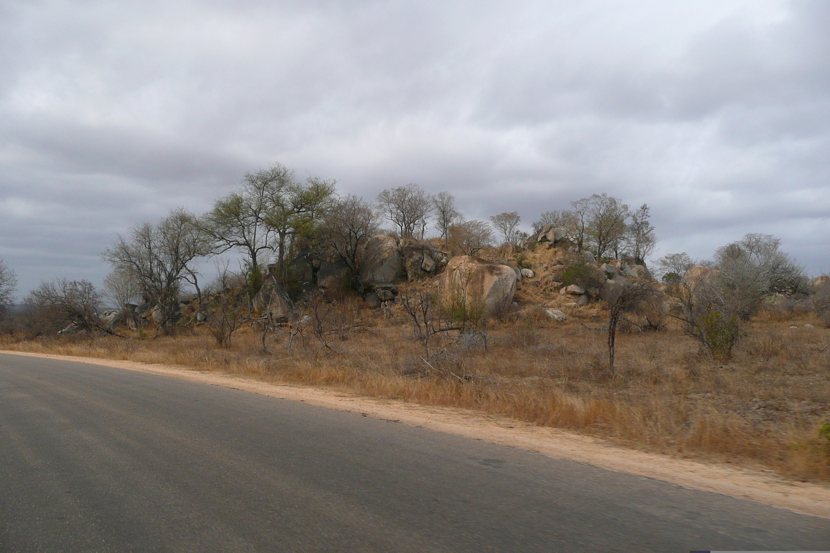 รูปถ่าย แอฟริกาใต้(South Africa) อุทยานแห่งชาติครูเกอร์(Kruger National Park) 2008-09 181
