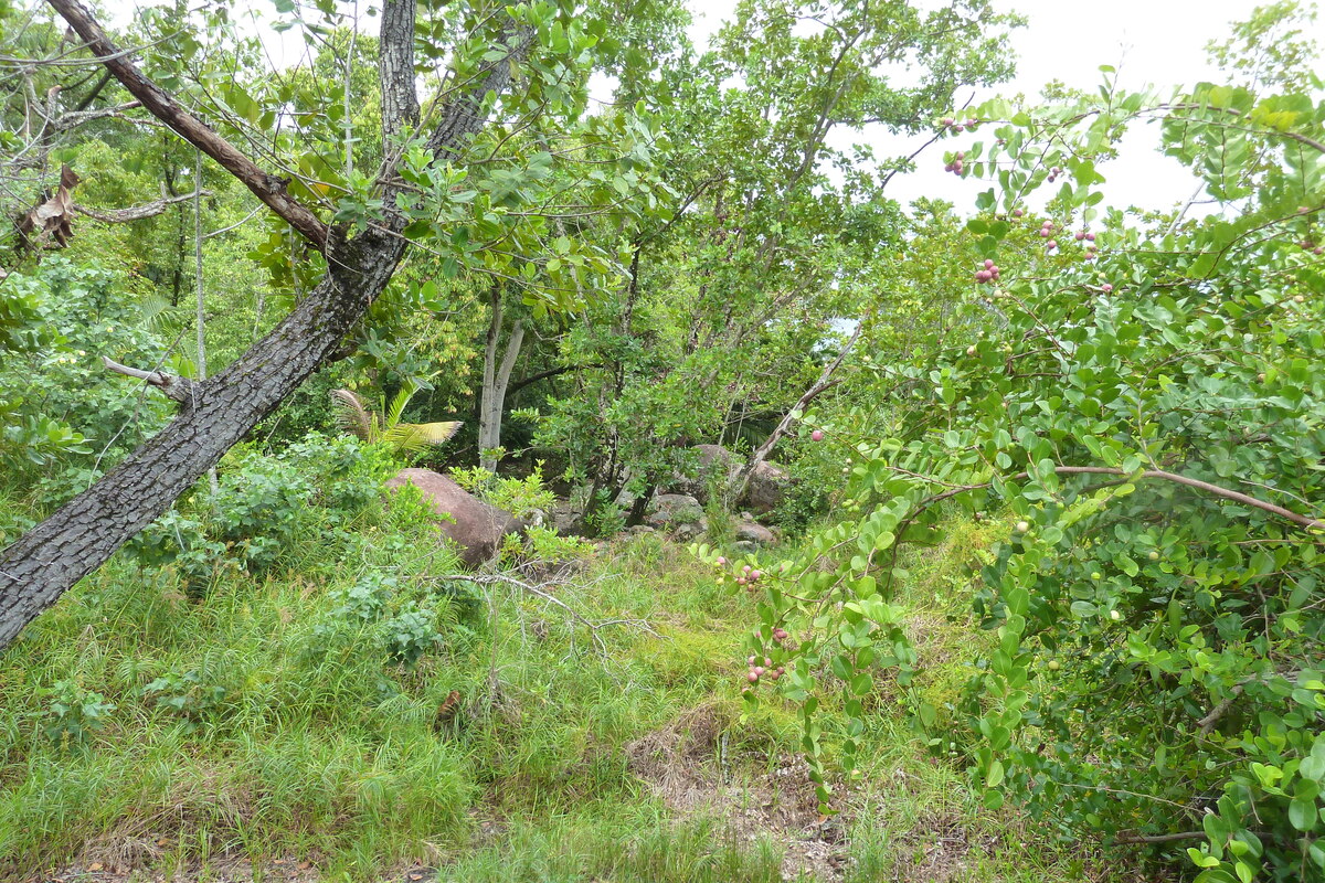 รูปถ่าย เซเชลส์(Seychelles) อ่าวอ็องส์ลาซิโอ(Anse Lazio) 2011-10 38