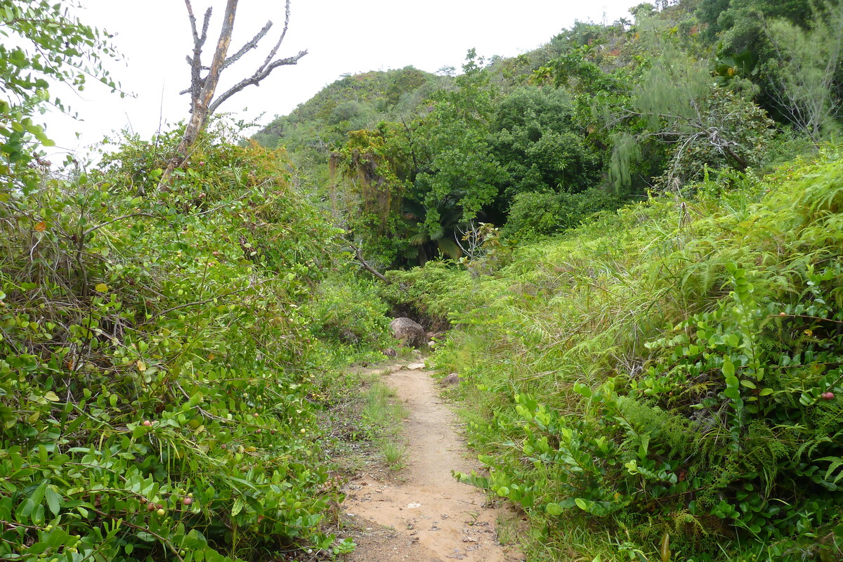 รูปถ่าย เซเชลส์(Seychelles) อ่าวอ็องส์ลาซิโอ(Anse Lazio) 2011-10 110
