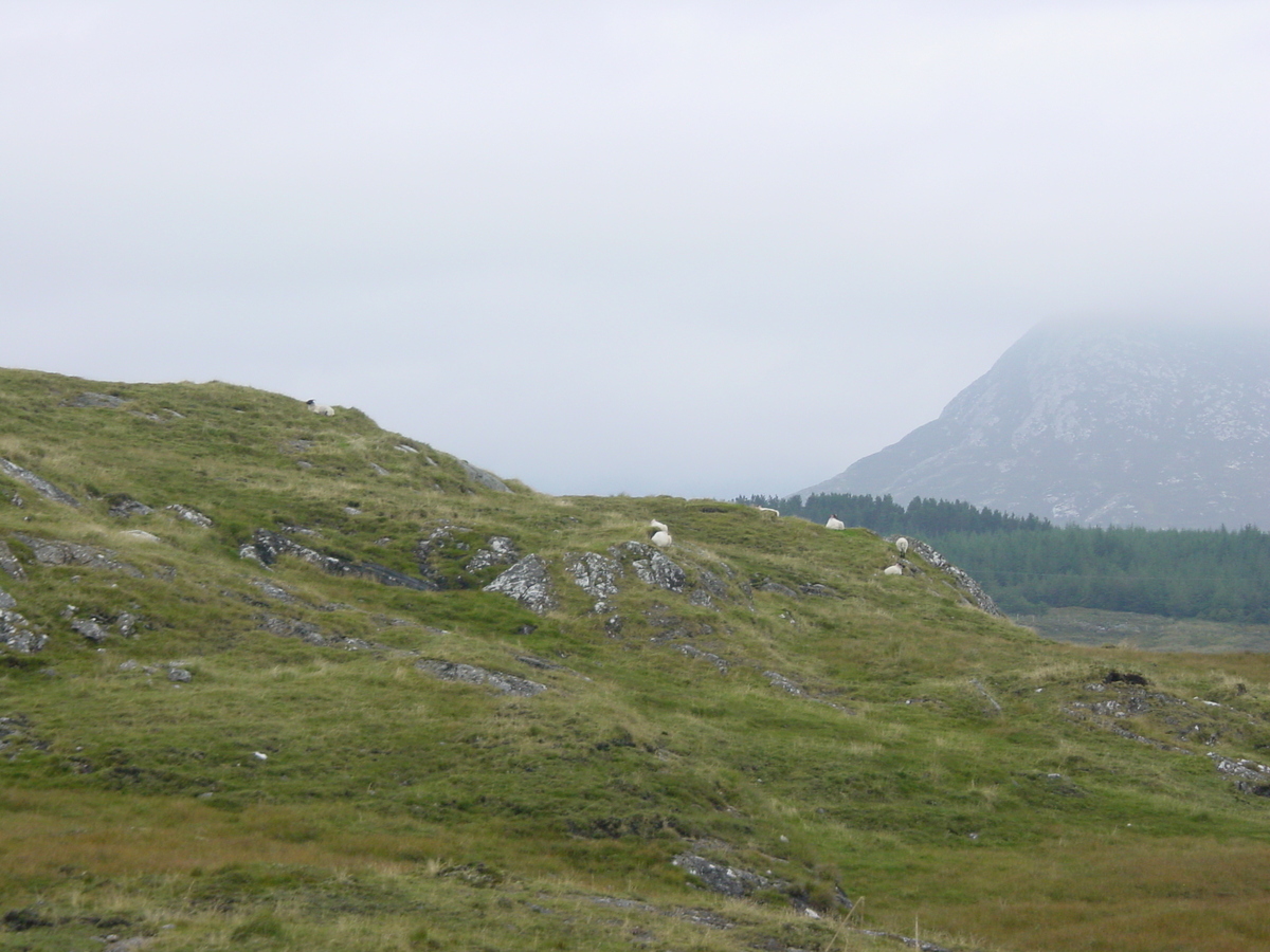 รูปถ่าย ไอร์แลนด์(Ireland) คอนเนอมารา(Connemara) 2003-09 4