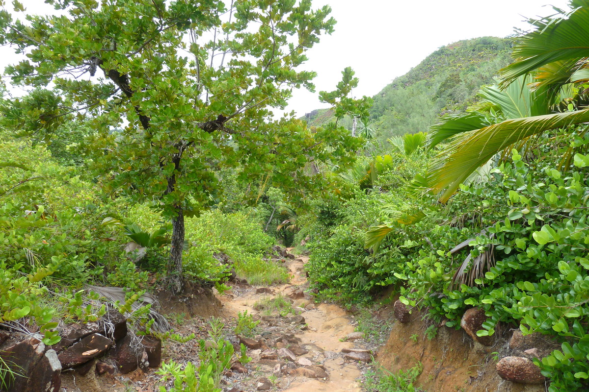 รูปถ่าย เซเชลส์(Seychelles) อ่าวอ็องส์ลาซิโอ(Anse Lazio) 2011-10 97