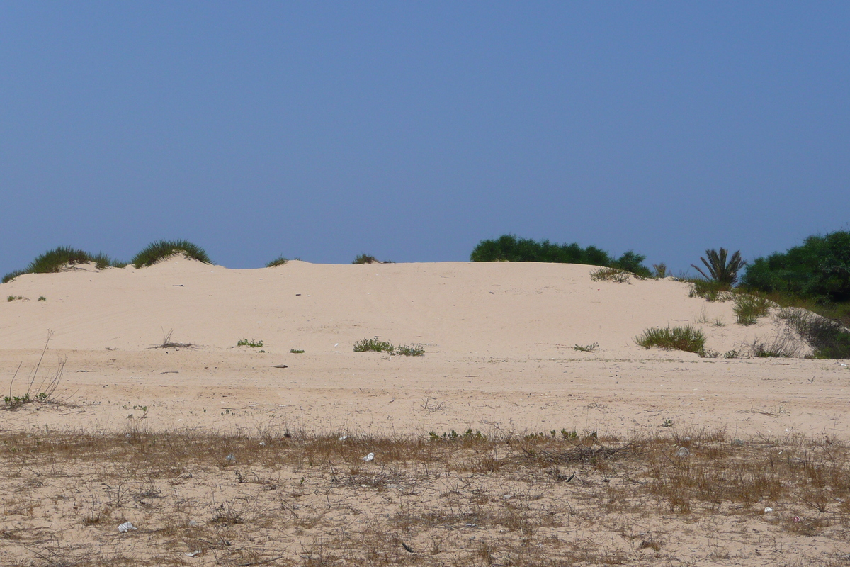 รูปถ่าย อิสราเอล(Israel) นิทซาน(Nitzan) 2007-06 97