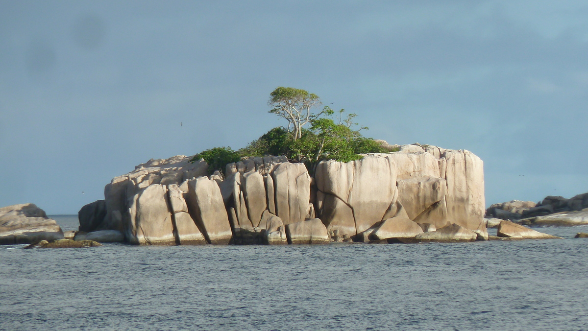 รูปถ่าย เซเชลส์(Seychelles) เกาะโกโก้(Coco Island) 2011-10 48