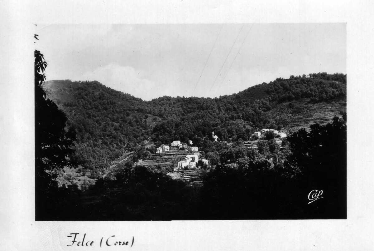 รูปถ่าย ฝรั่งเศส(France) คอร์สิคา(Corsica) โปสการ์ดเก่า(Old Postcards) 1900-01 219