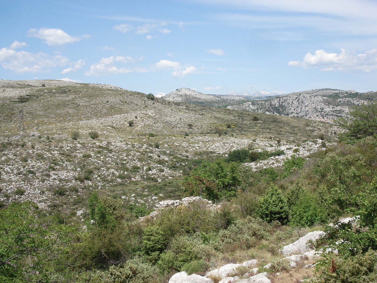 รูปถ่าย ฝรั่งเศส(France) วังซ์(Vence) บาอู(Baou) 2006-06 55