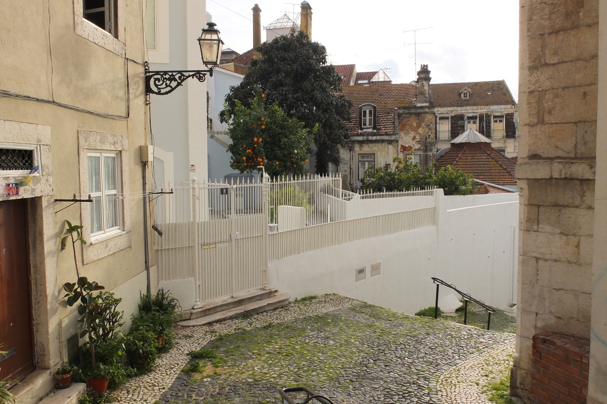 รูปถ่าย โปรตุเกส(Portugal) ลิสบอน(Lisbon) 2013-01 254