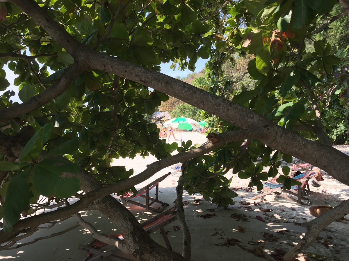 รูปถ่าย ไทย(Thailand) เกาะเสม็ด(Ko Samet) 2014-12 350