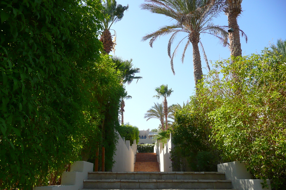 รูปถ่าย อียิปต์(Egypt) ชาร์มเอลชีค(Sharm el Sheikh) โรงแรมโฟร์ซีซันส์(Four Seasons Hotel) 2008-06 19