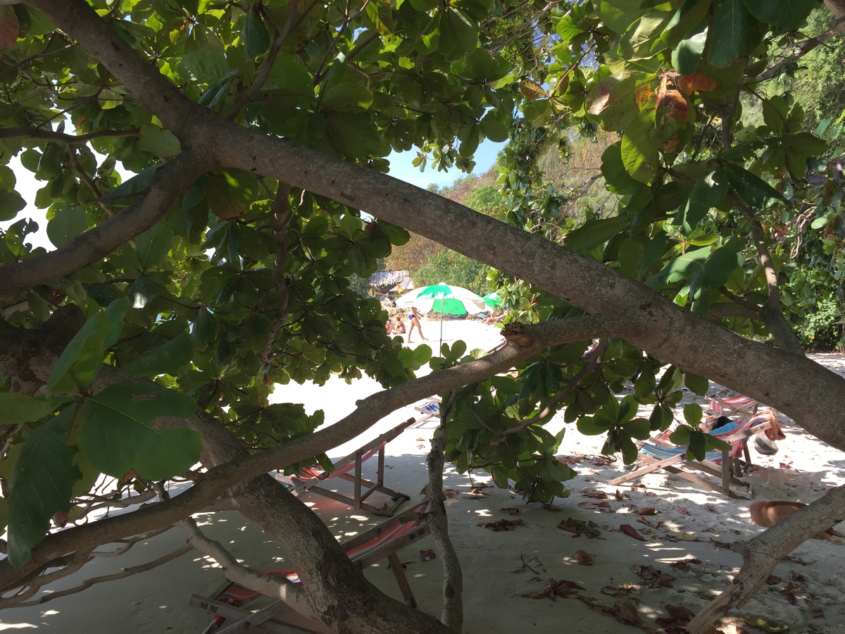 รูปถ่าย ไทย(Thailand) เกาะเสม็ด(Ko Samet) 2014-12 336